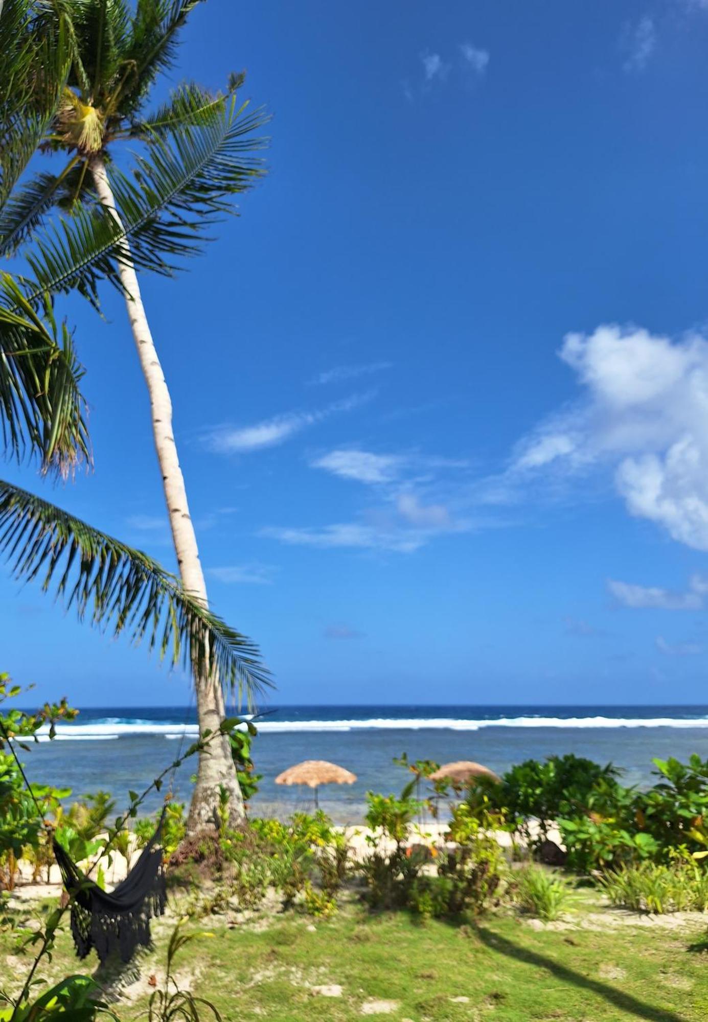 Bamboo Surf Beach San Isidro  Exteriör bild